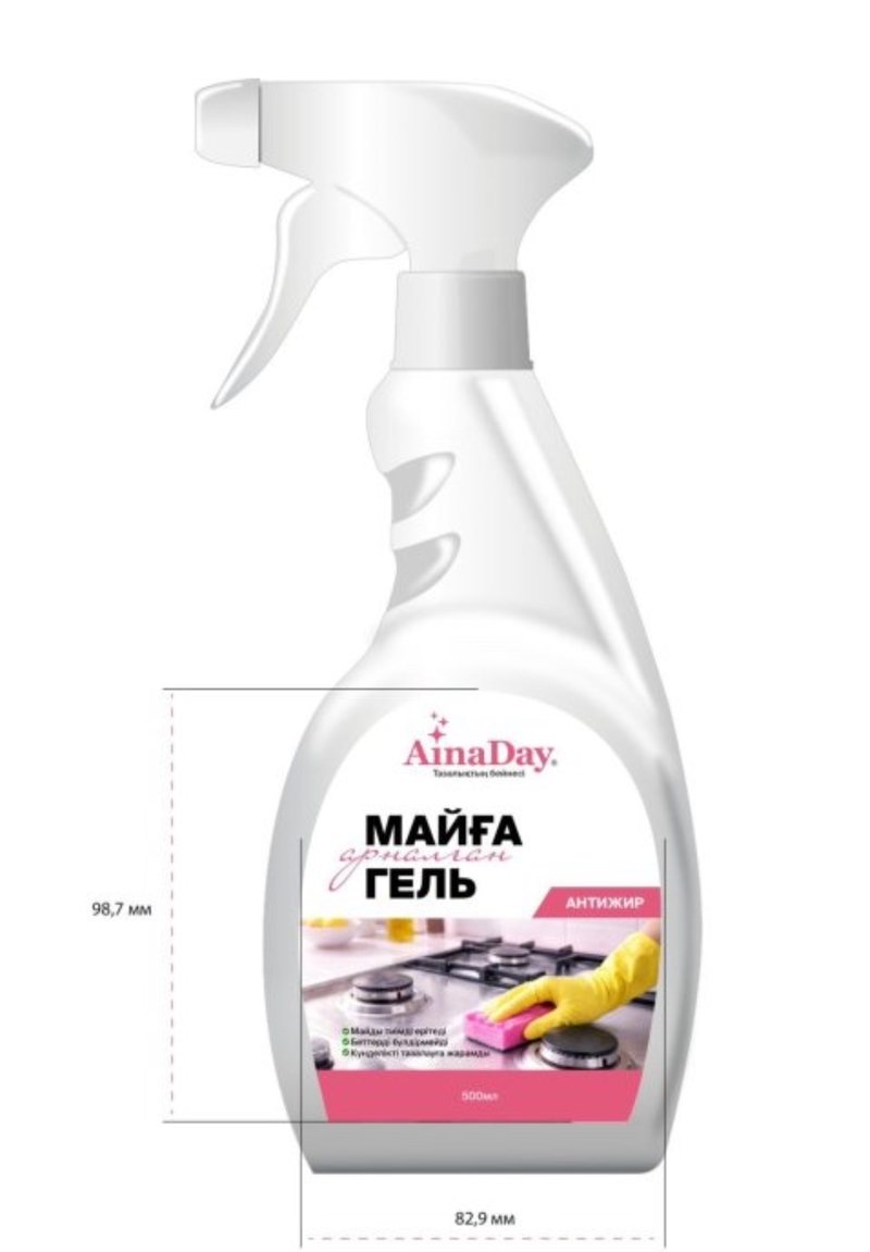 AinaDay